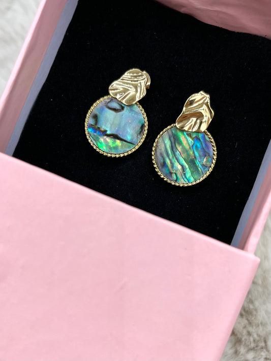Magic earrings PbE
