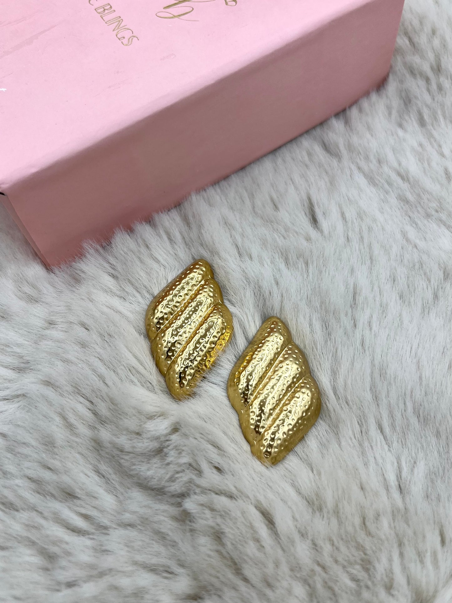 Chunky earrings PbE