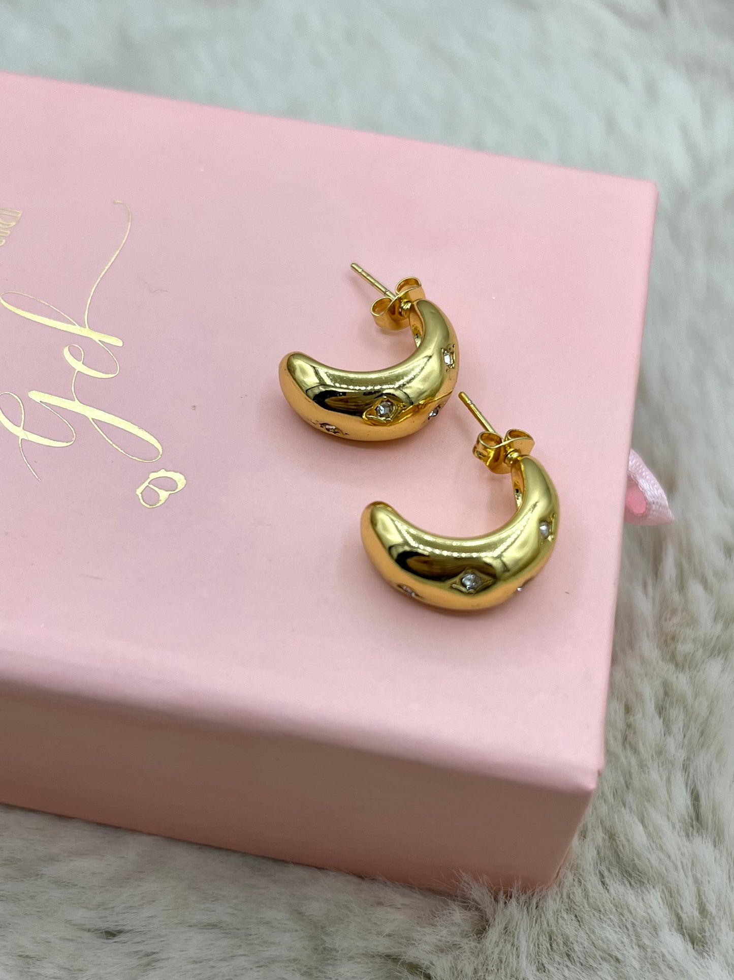 Chunky hoops earrings pbE