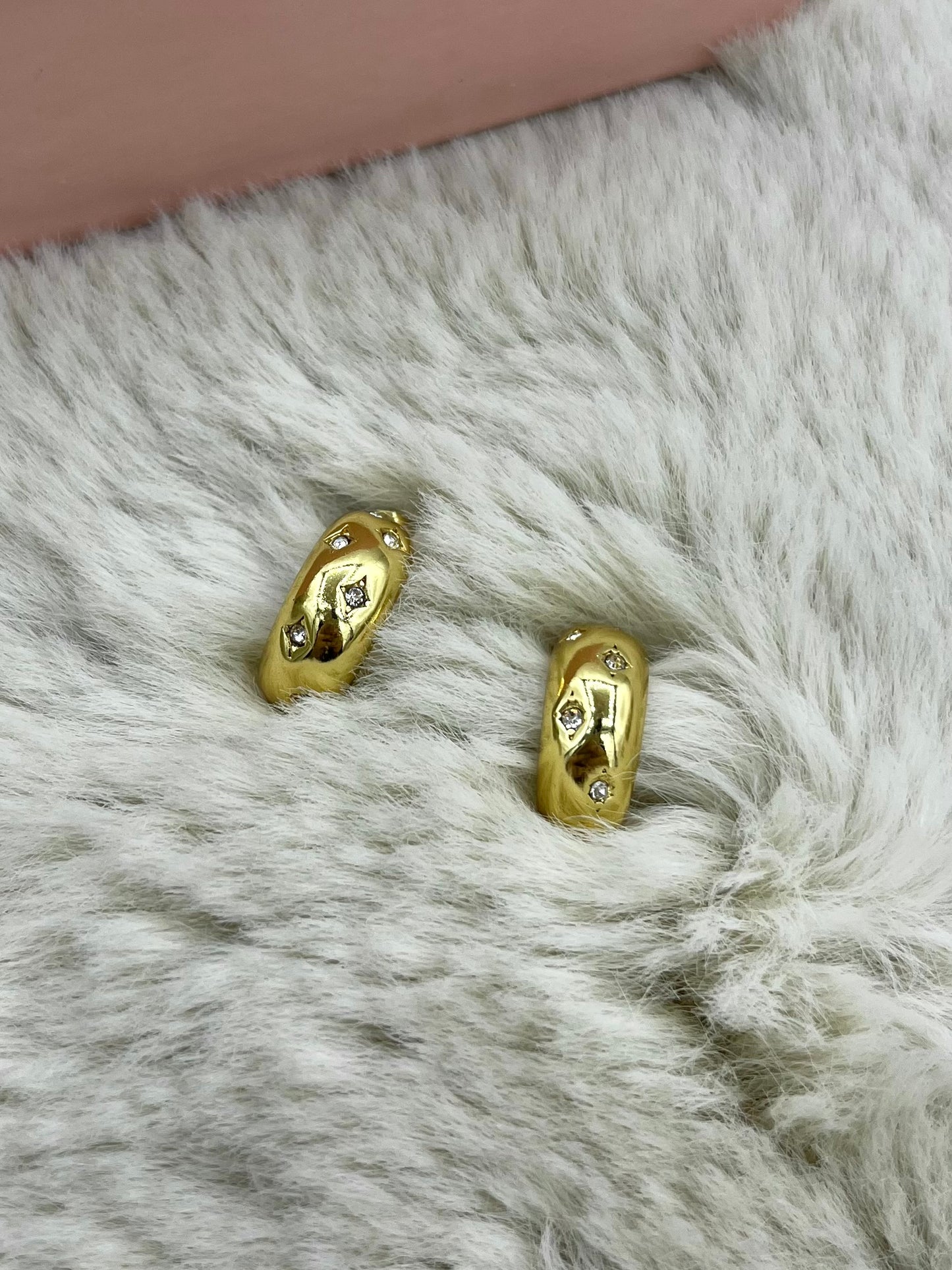 Chunky hoops earrings pbE