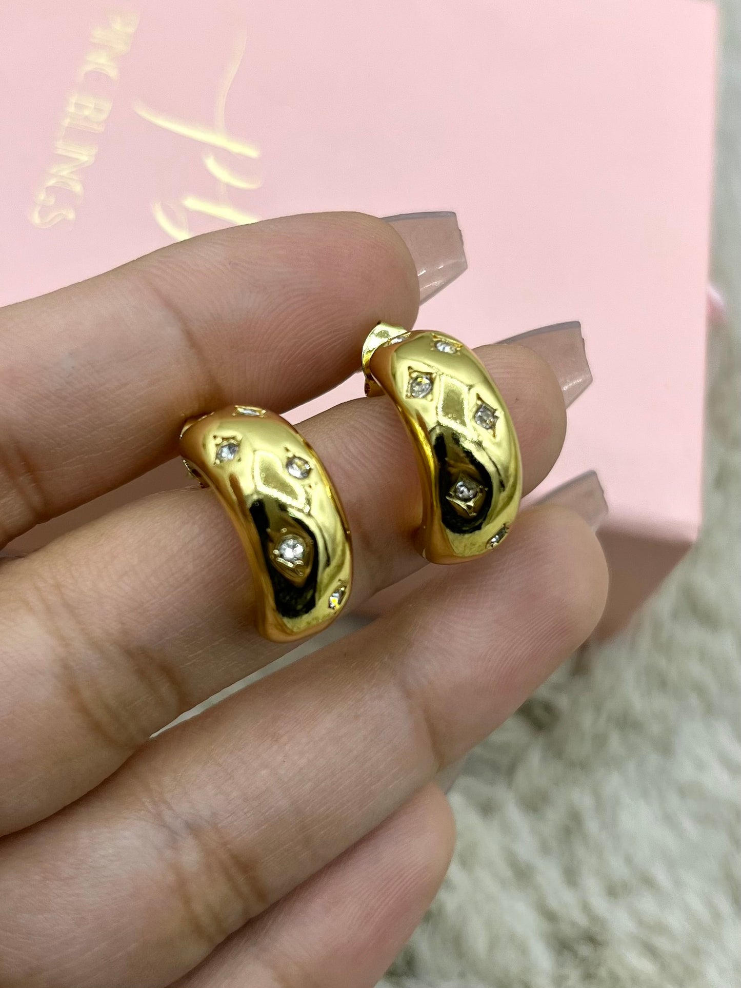 Chunky hoops earrings pbE